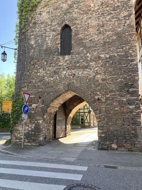 Castrum Visum *